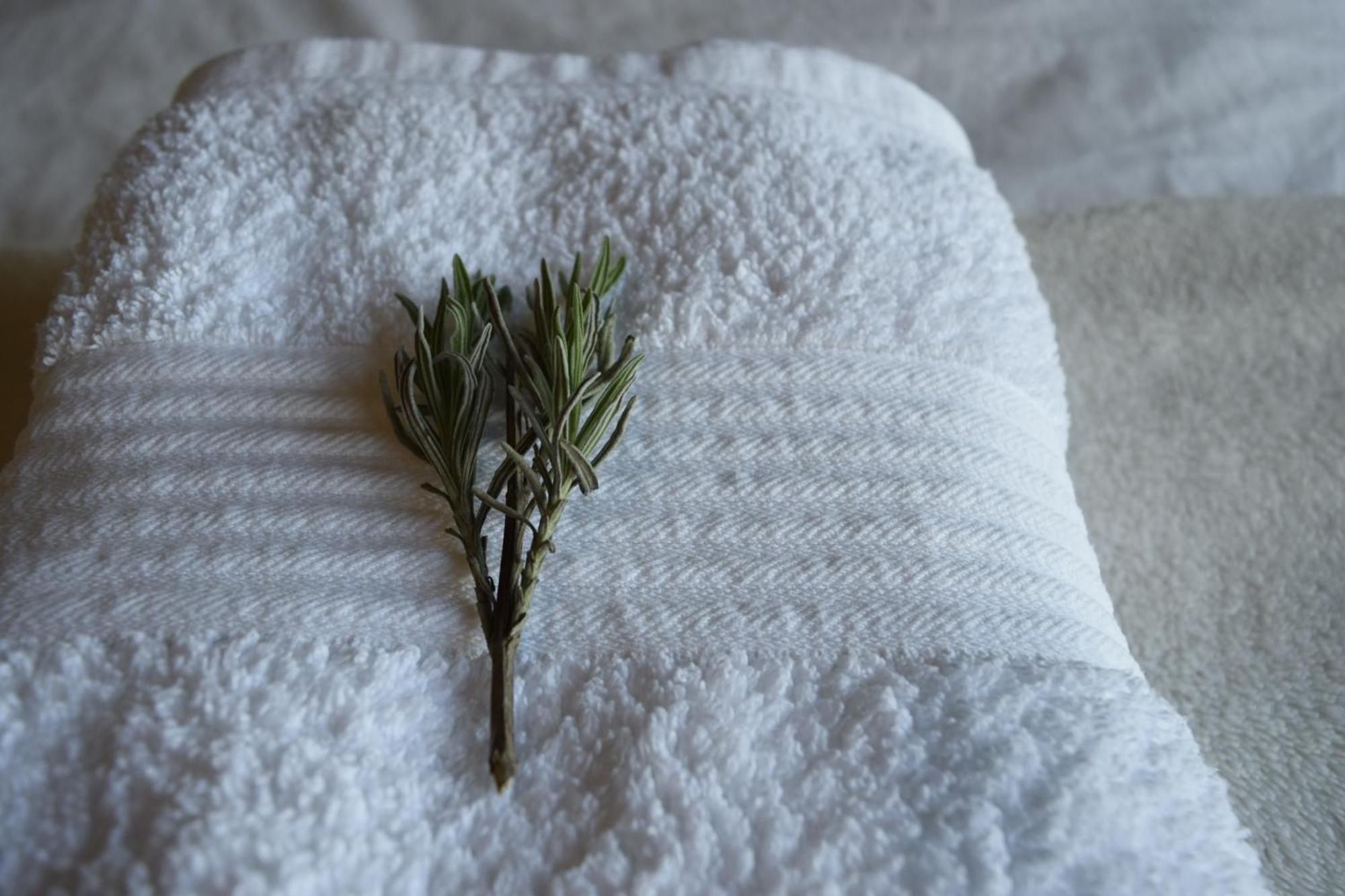مبيت وإفطار دونغارفان Cedarblue المظهر الخارجي الصورة